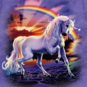 Meet your Posher, Erana